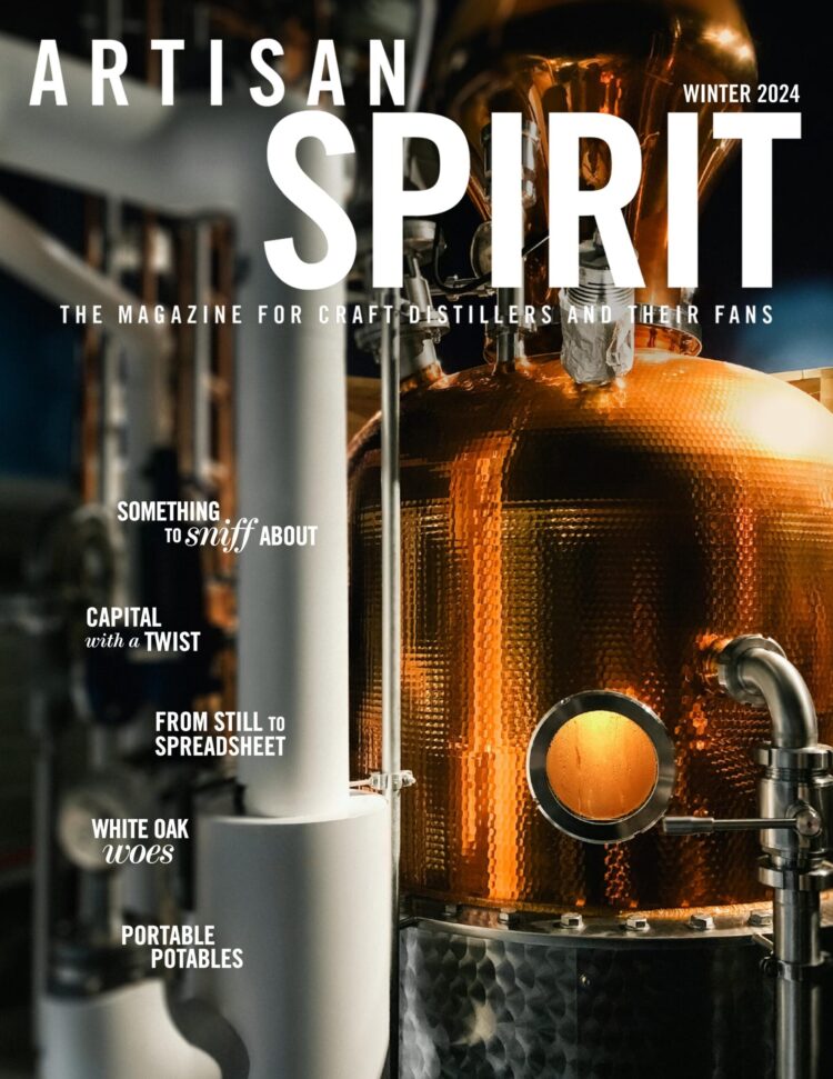 sabri regueira feet 2 scaled