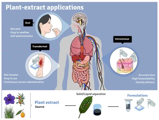 sabri regueira feet 5