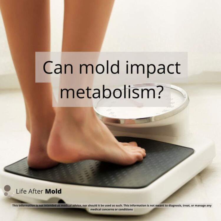 sabrina peterson feet 2