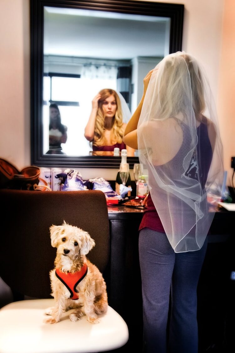 sacha hamilton feet 5