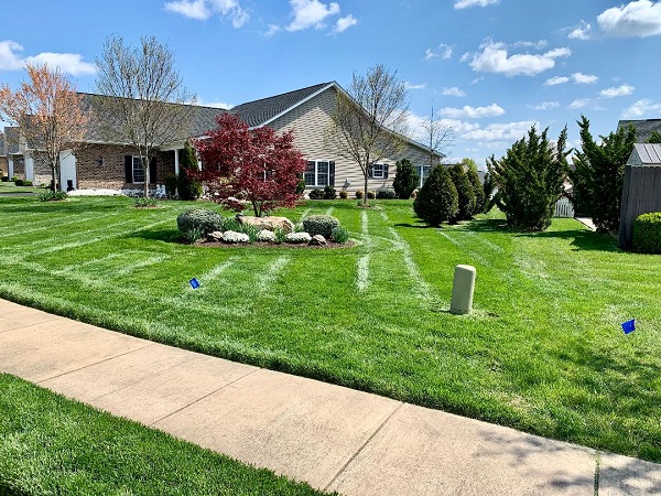 sadi christensen feet 2