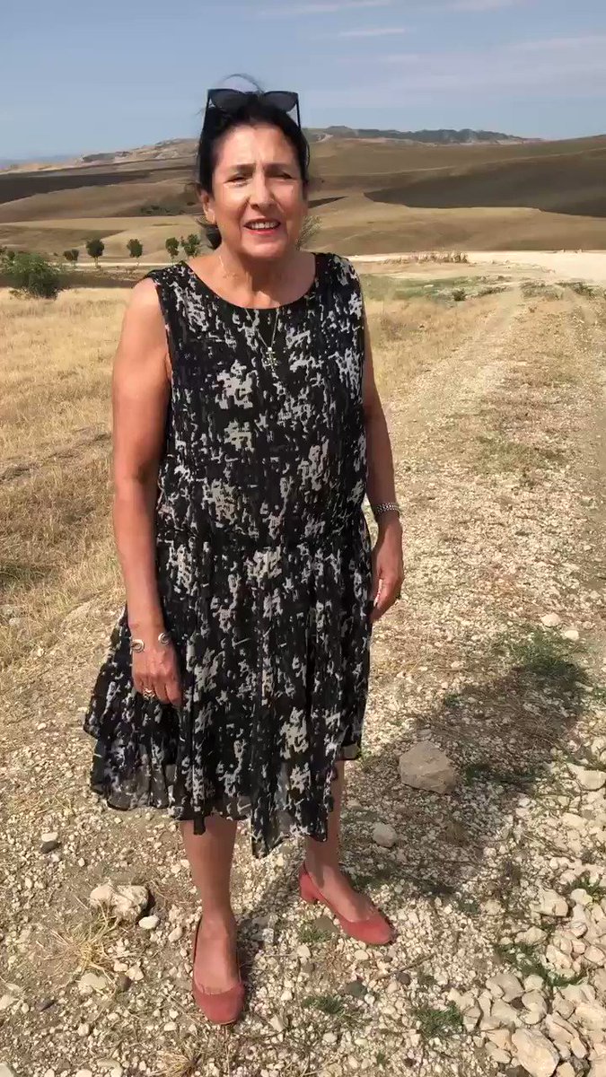 salome zourabichvili feet 1