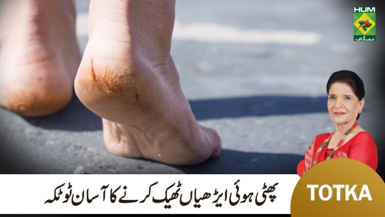 samaa shehata feet 2