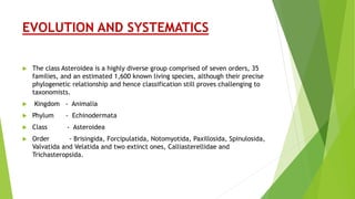 samanta cabanillas feet 6