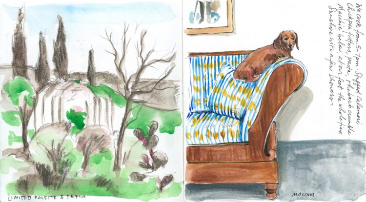 samantha dion baker feet 5 scaled