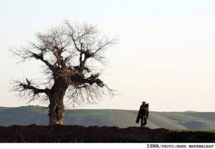 samira makhmalbaf feet 6