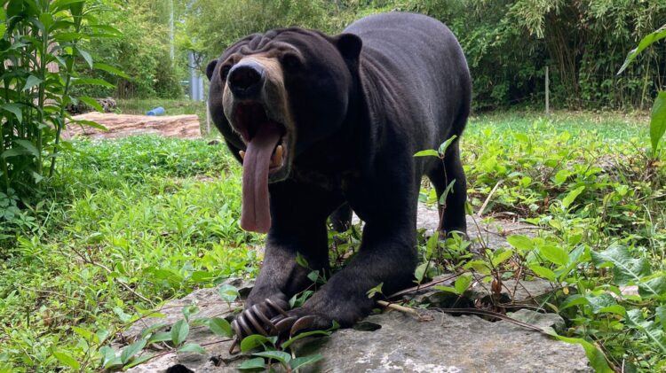 san sunbeary feet 2 scaled