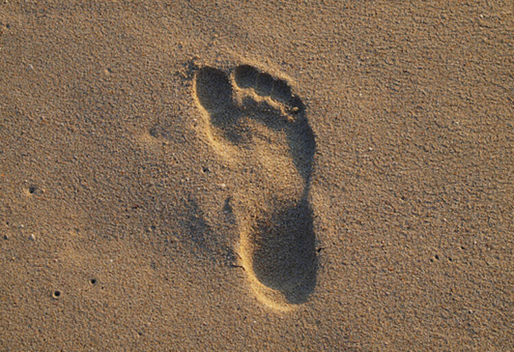 sand one feet 1