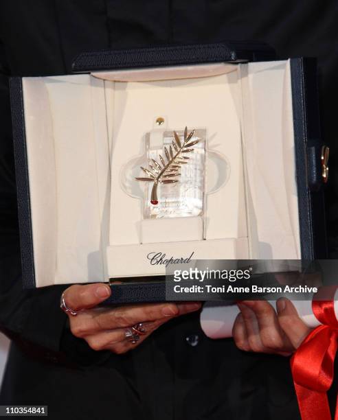 sandra corveloni feet 4