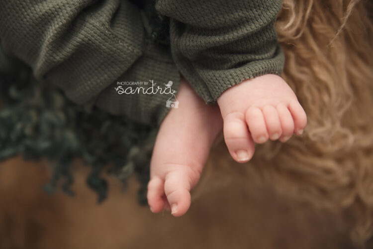 sandra el ayoubi feet