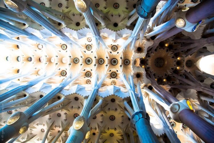 sandra familia panda feet 5