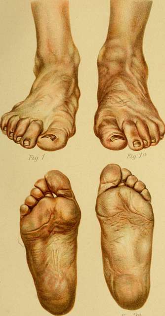 sandra pintor feet 5