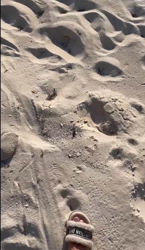 sandy meyer wolden feet 3