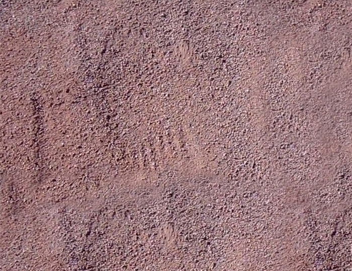 sandy redpearl feet 1