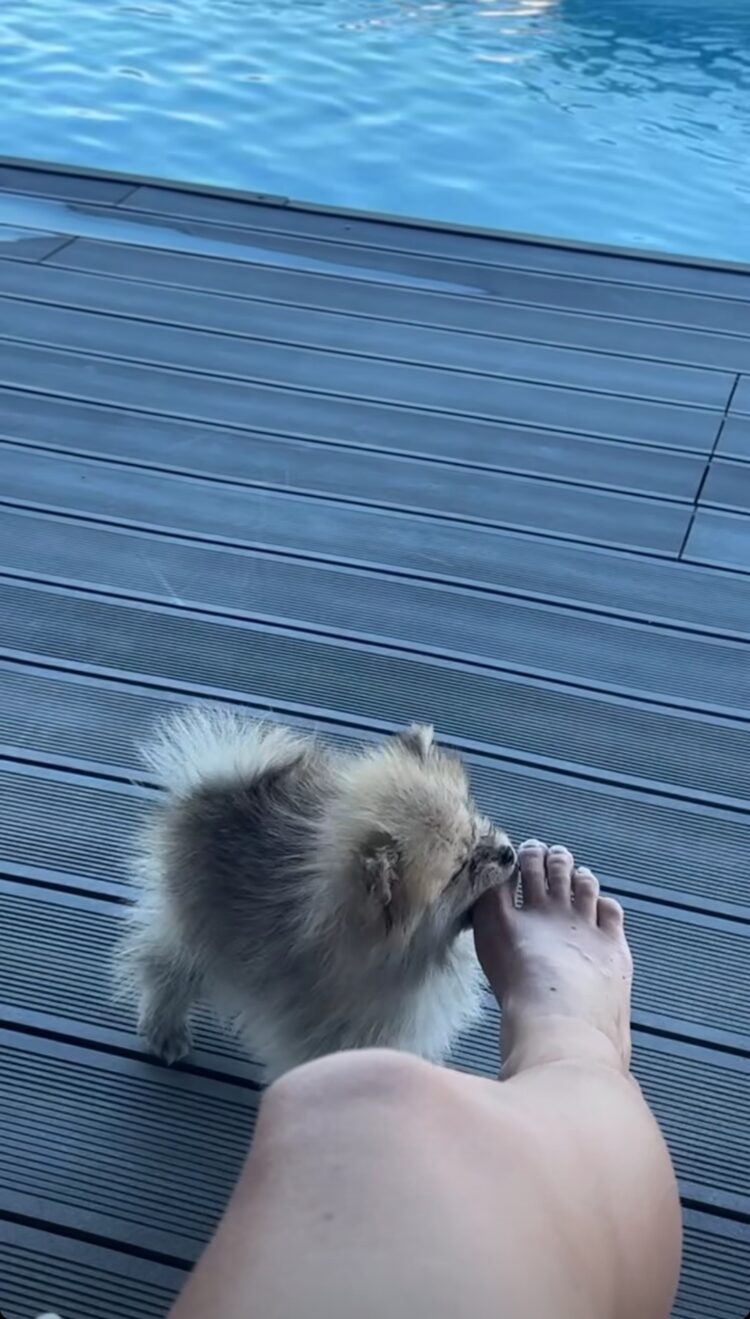 sanja stankovic feet 1