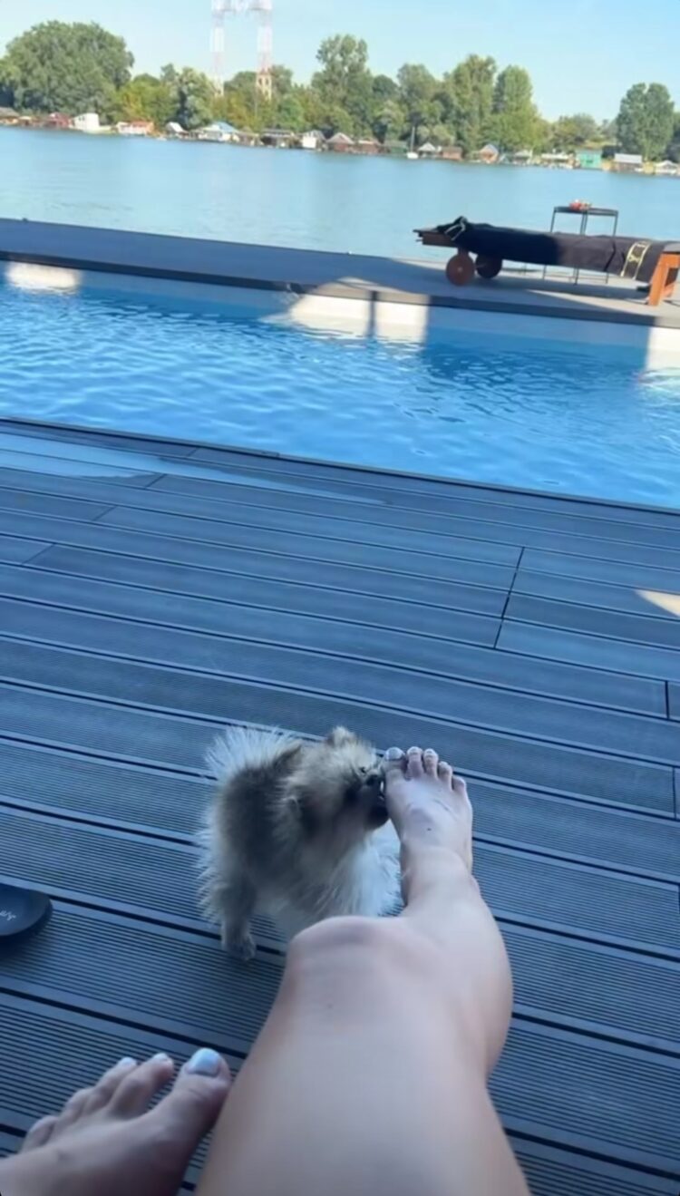 sanja stankovic feet 3