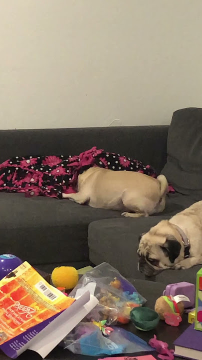 sara braeutigam feet 1