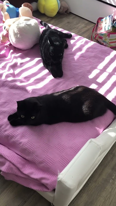 sara braeutigam feet 2