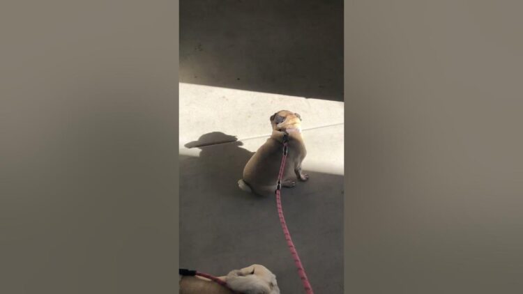 sara braeutigam feet