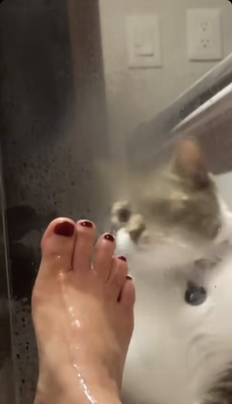 sara maldonado feet 2