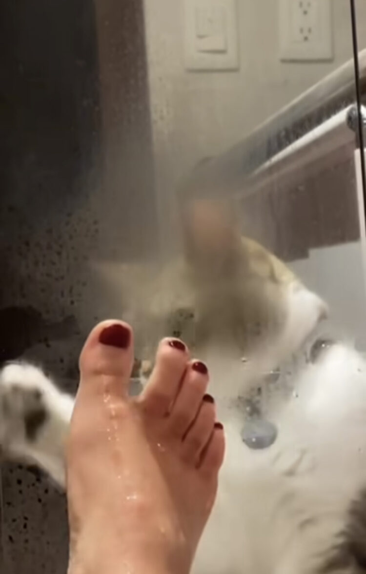 sara maldonado feet 5