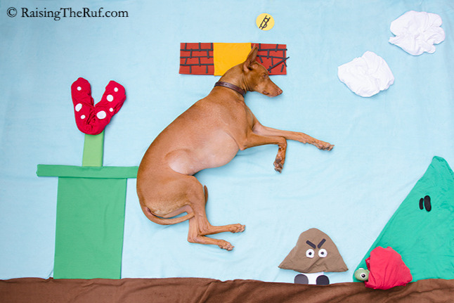 sara rehnmark feet 3