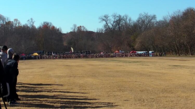 sara vuckovic feet 1