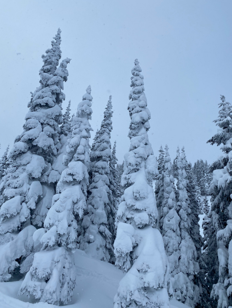 sarah caldwell feet 5 scaled