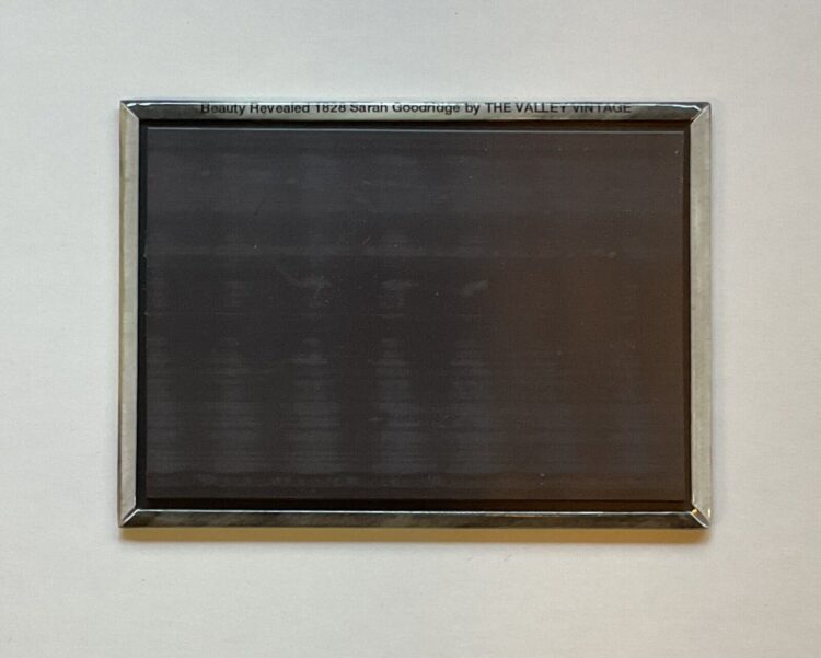 sarah goodridge feet 3