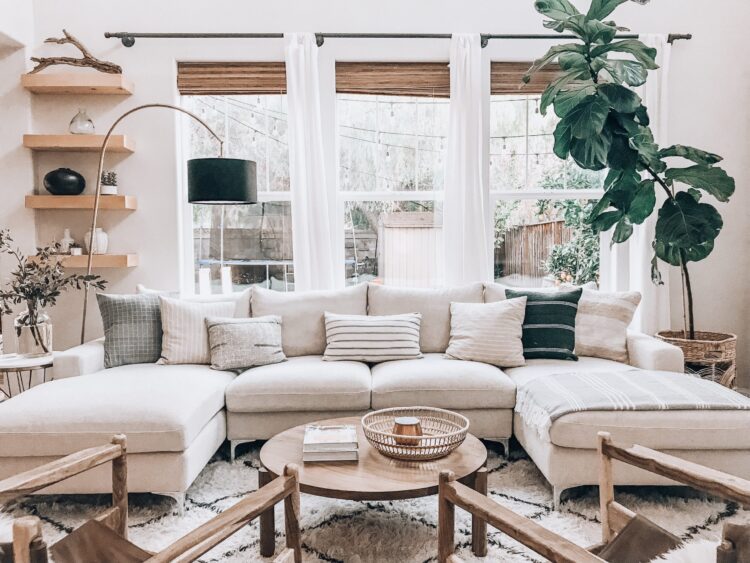 sarah litvinchuk feet 3 scaled