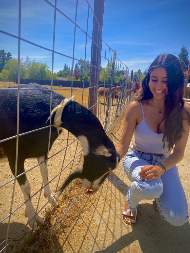 sarah salahpour feet 4