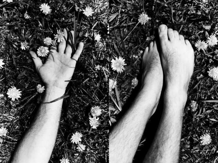 sarah schupfer feet 6