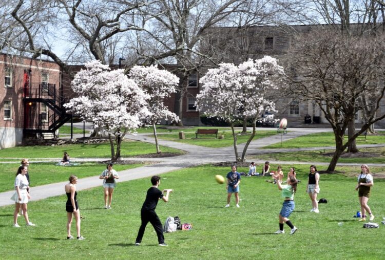 sarah sunshine schubert feet 3