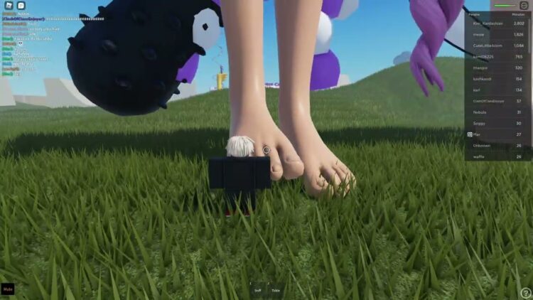 sarriebearrie feet 3