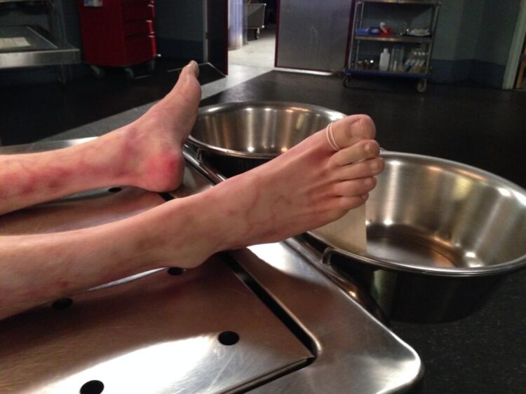 sasha alexander feet 3