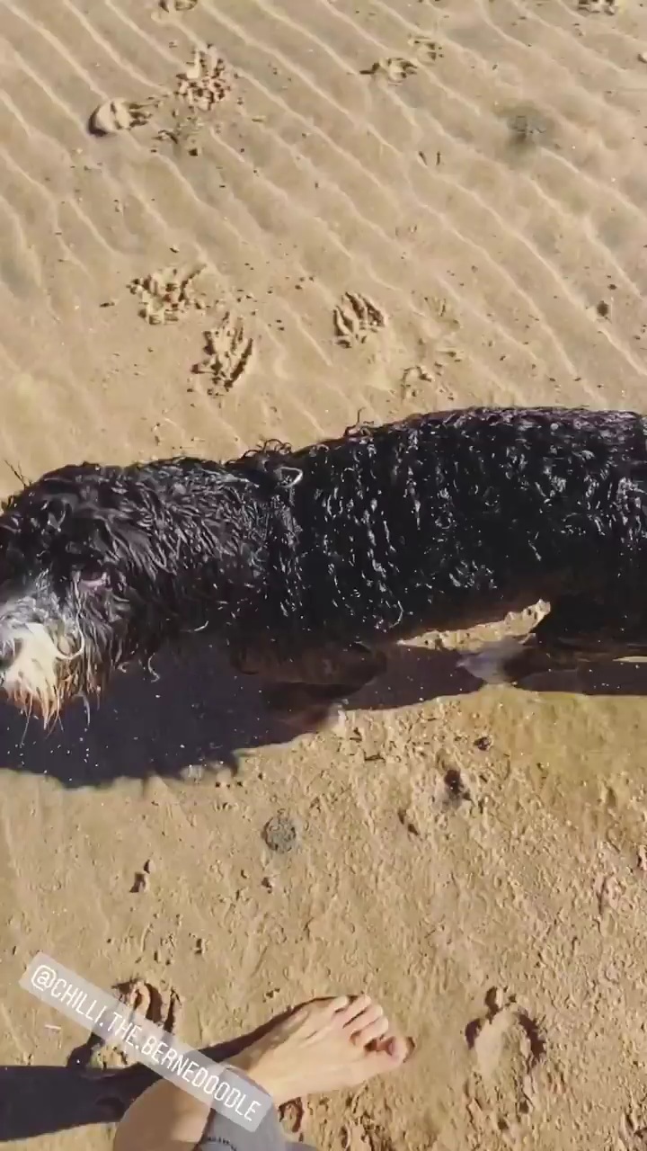 saskia hampele feet 4