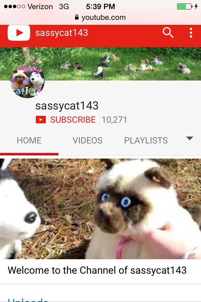 sassycat143 feet 4