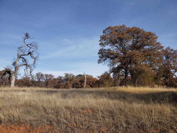 savanna maria garcia feet 4