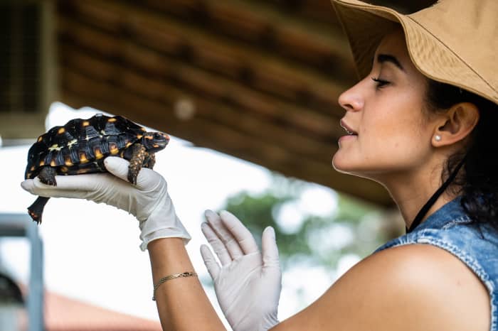 savanna mcnellis feet 3