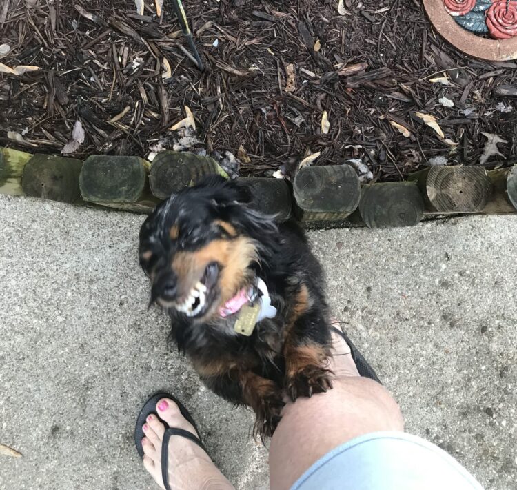 scarlet grace feet 3 scaled