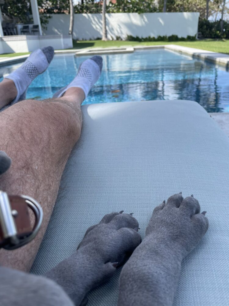 scott galloway feet 2