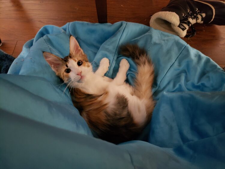 seanan mcguire feet 1