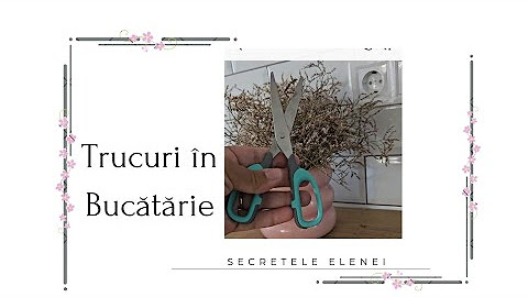 secretelei elenei feet 6