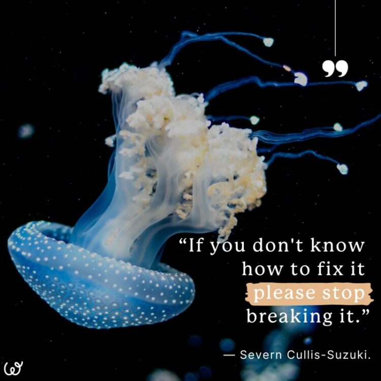 severn cullis suzuki feet 3