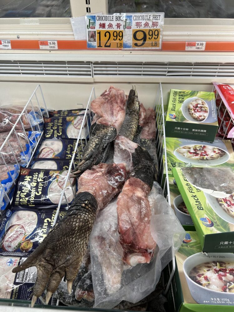 shady rich feet 3 scaled