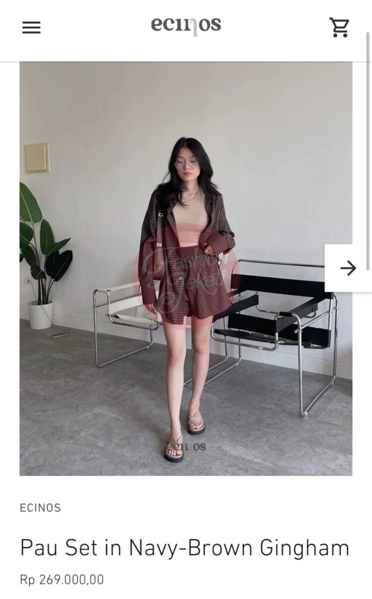 shani indira natio feet 5