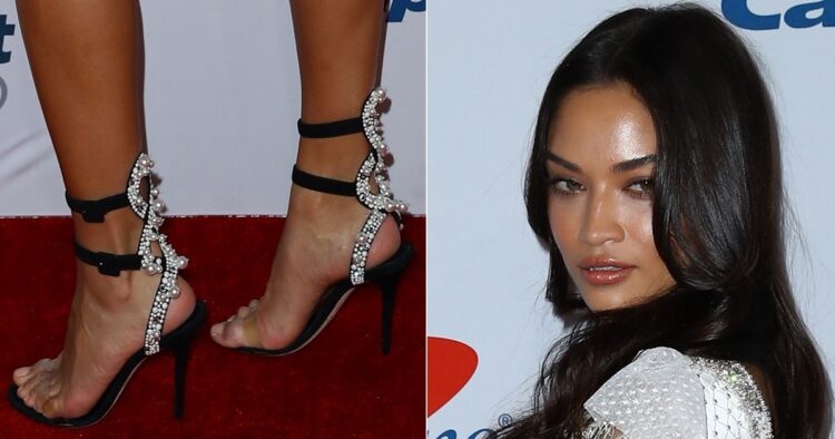 shanina shaik feet 5