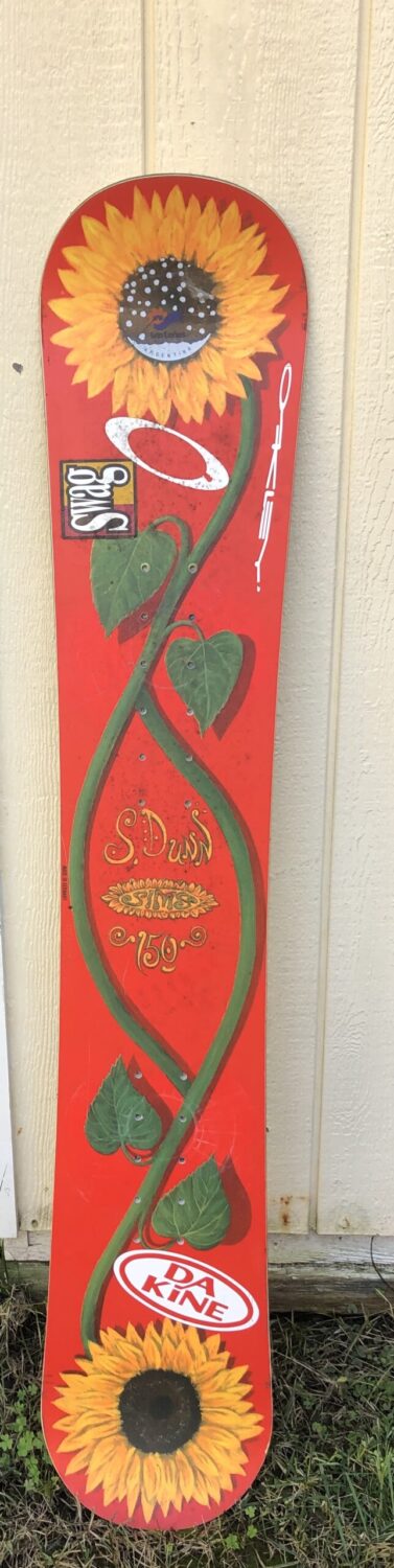 shannon dunn downing feet 6