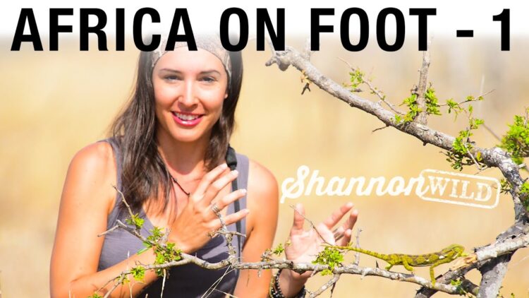 shannon wild feet 1