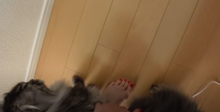 sharla in japan feet 3